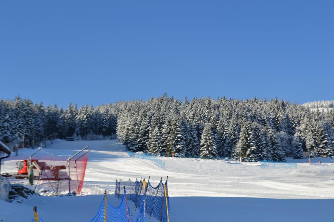 Zlote Gory - Czarna Gora Bed and Breakfast Siena Buitenkant foto